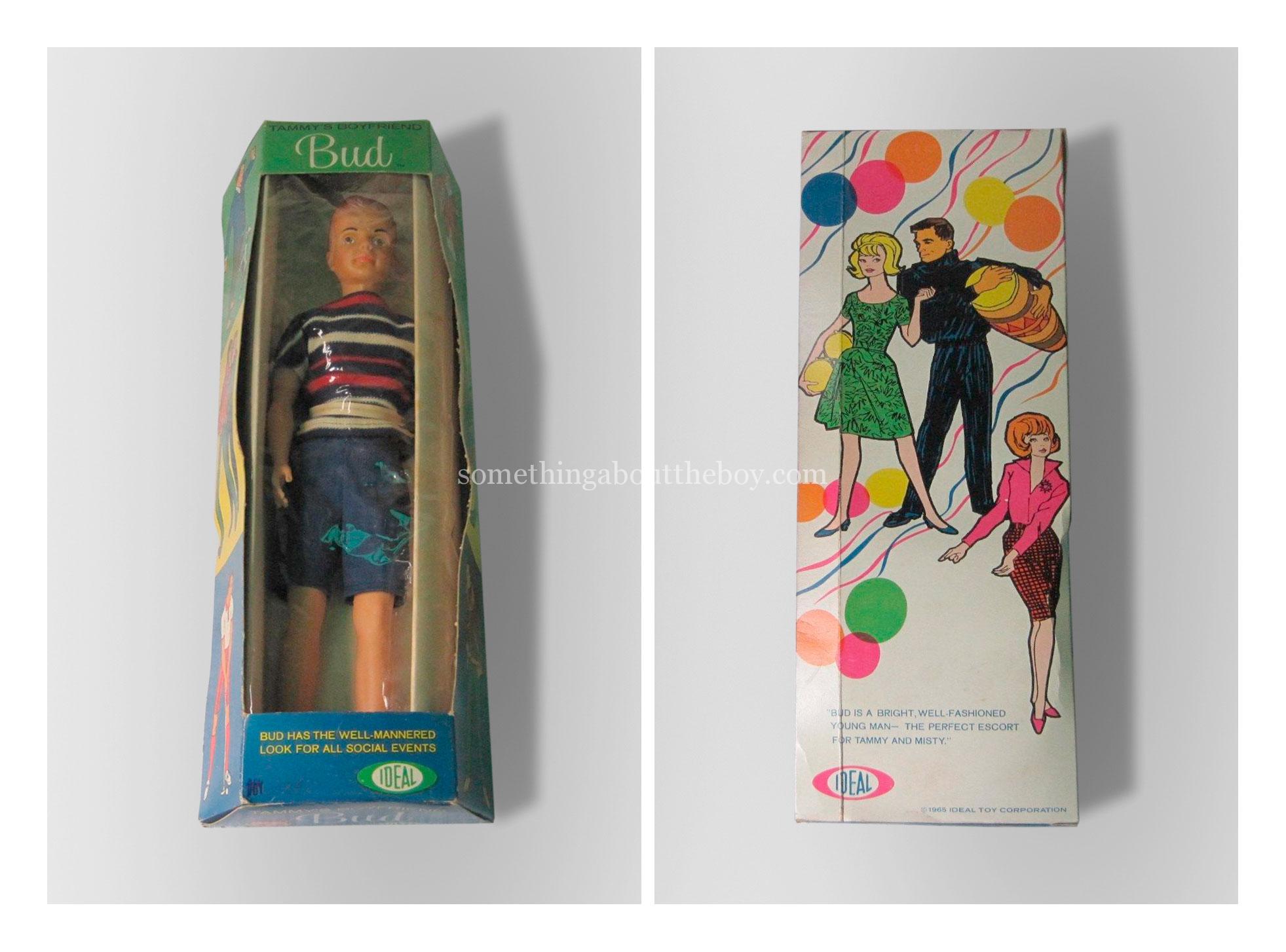 Tammy's Family Bud doll in original packaging