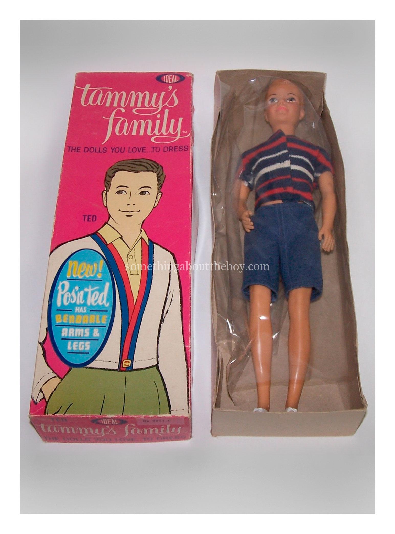 Tammy's Family Pos'n Ted doll in original packaging